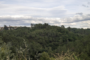 Castro de Santos Idos